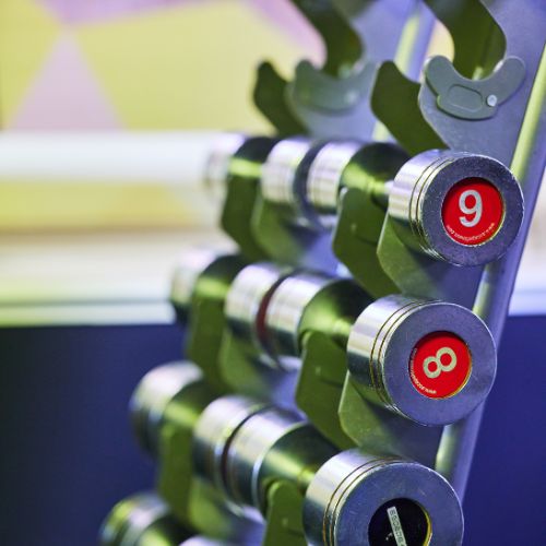 dumbell weights on a rack